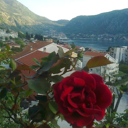 Apartment Aki Kotor Extérieur photo