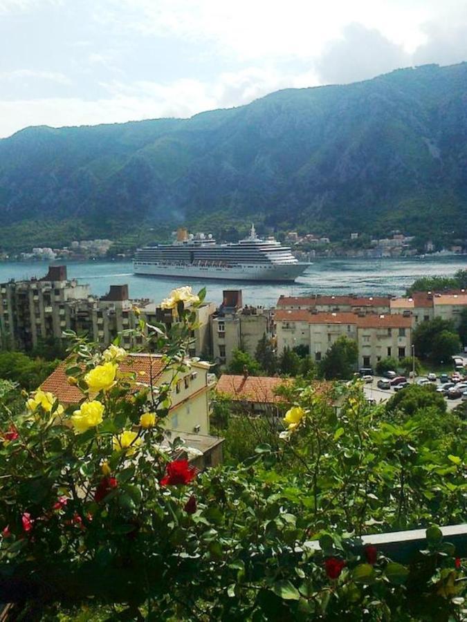 Apartment Aki Kotor Extérieur photo