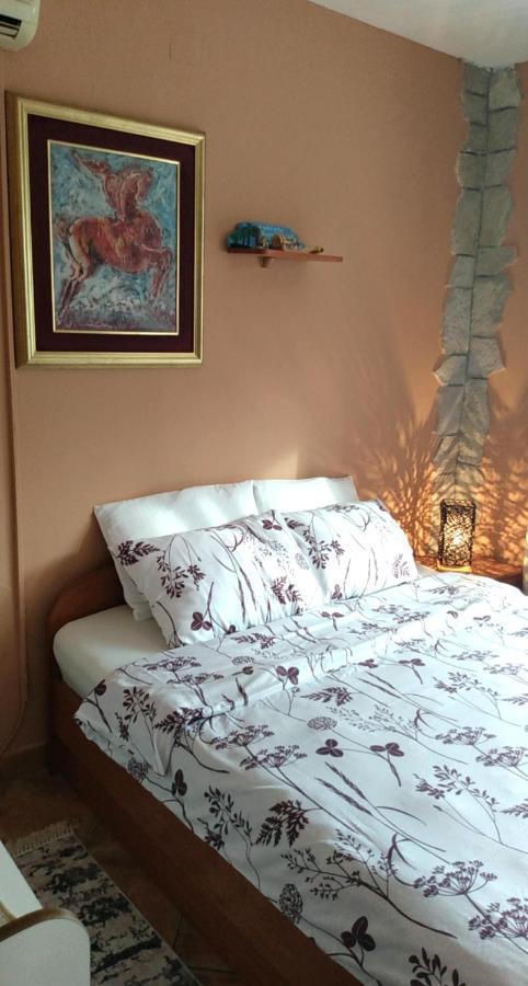 Apartment Aki Kotor Extérieur photo