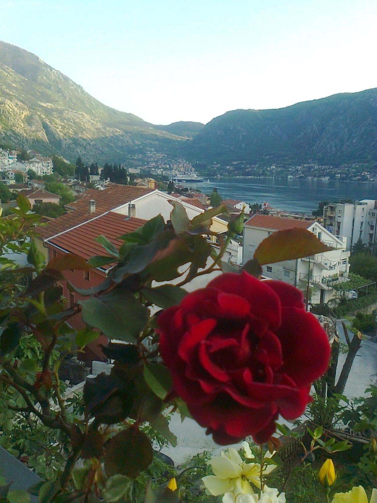 Apartment Aki Kotor Extérieur photo